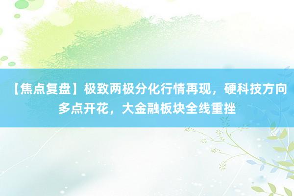 【焦点复盘】极致两极分化行情再现，硬科技方向多点开花，大金融板块全线重挫