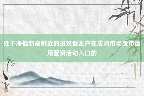 处于净值新高附近的进攻型账户在成熟市场股市运用配资活动入口的