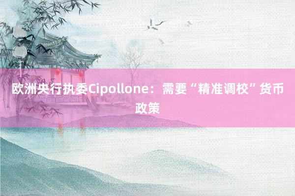 欧洲央行执委Cipollone：需要“精准调校”货币政策