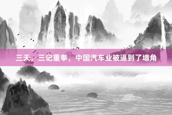 三天，三记重拳，中国汽车业被逼到了墙角
