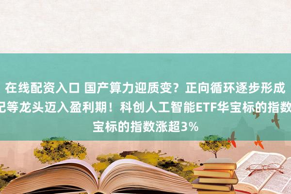 在线配资入口 国产算力迎质变？正向循环逐步形成，寒武纪等龙头迈入盈利期！科创人工智能ETF华宝标的指数涨超3%