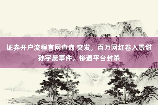 证券开户流程官网查询 突发，百万网红卷入景甜孙宇晨事件，惨遭平台封杀