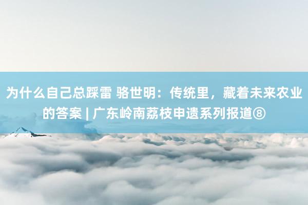 为什么自己总踩雷 骆世明：传统里，藏着未来农业的答案 | 广东岭南荔枝申遗系列报道⑧