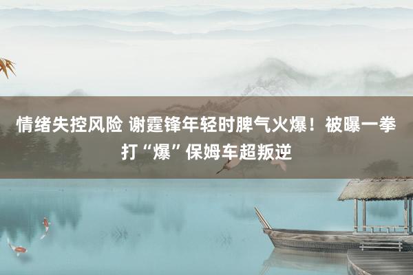 情绪失控风险 谢霆锋年轻时脾气火爆!被曝一拳打“爆”保姆车超叛逆
