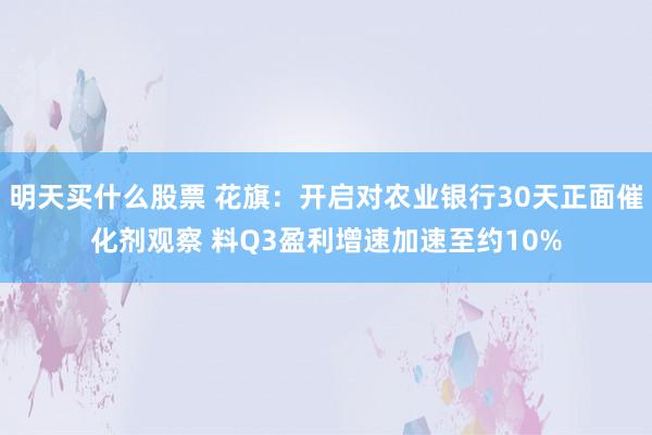 明天买什么股票 花旗:开启对农业银行30天正面催化剂观察 料Q3盈利增速加速至约10%