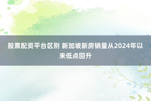 股票配资平台区别 新加坡新房销量从2024年以来低点回升